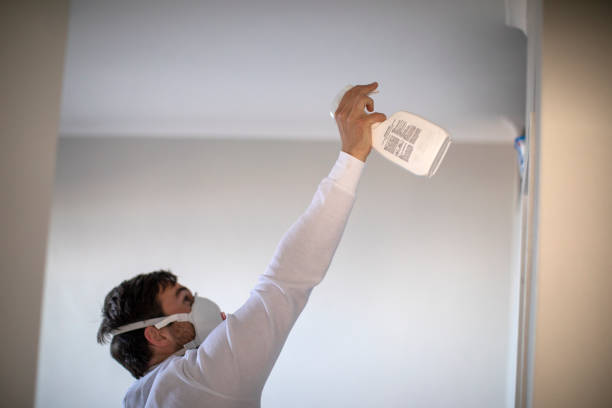 Best Black Mold Removal  in Princeton, NJ