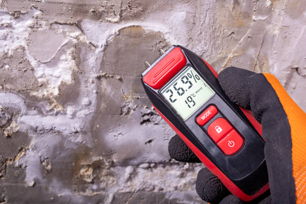 Certified Mold Removal in Princeton, NJ