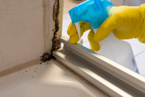 Best Mold Testing  in Princeton, NJ