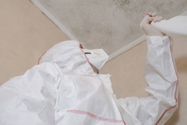 Best Home Mold Removal  in Princeton, NJ