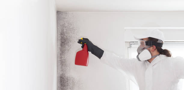 Best Office Mold Removal Services  in Princeton, NJ